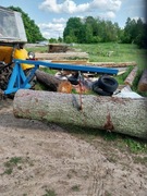 Chwytak do transportu drewna