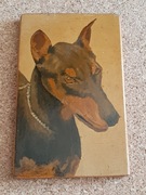Doberman - mały obrazek olej na desce 12x19cm
