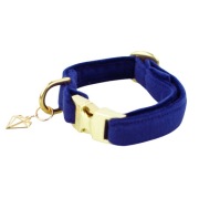 Welurowa obroża dla małego psa