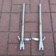 Goleń przedni  Ogar 200/205