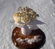 Box prezentowy Boho na dzień babci 