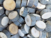 Plastry drewna dębowe 100 sztuk!!!