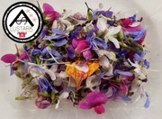 Kwiaty Jadalne Swieze Polne Dekoracyjne Ziola Platki pudelko 