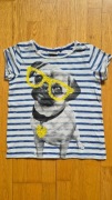 Bluzka dziewczęca next, rozm. 15 lat, paski, mops w okularach