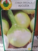 Cebula biała 'Augusta' nasiona 
