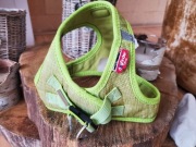 szelki Curli, rozmiar S