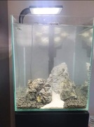 Akwarium aquael - 30 litrów + Szafka + lampa+filtr