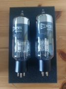 Para lampy Erlog ER300B