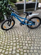 Rower dziecięcy Liv