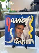 David Sanborn - A Change Of Heart (USA)