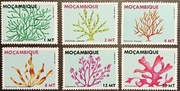 FLORA ŚWIATA - MOZAMBIK ** - czysty - MORSKIE WODOROSTY 