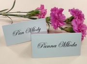 Winietki, rozmieszczenie gości, kartki z imionami 