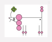 Plakat - Pudel Szczęścia - Wysokiej jakości druk pigmentowy