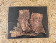 Koty. Obrazek 20-25cm. Wydrapywanka. Dla miłośników kotów.