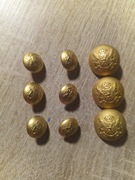 Komplet rzadkich guzików z herbem , korona, lew , plastik (60)