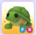 Adopt me! Turtle FR