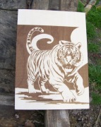 Obraz wypalany w drewnie tygrys
