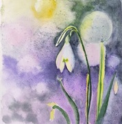 Akwarela 21x21 - "Zwiastun przebiśnieg"