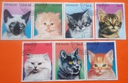 Znaczki pocztowe tematyczne - koty