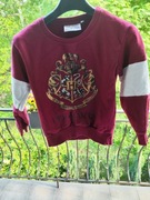 Bluza dziecięca harry potter gryffindor