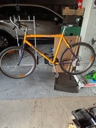 Rower GIANT model "Chicago" koła 26"