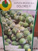 Kapusta brukselska 