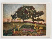 TADEUSZ MAKOWSKI LETNI WIECZÓR pocztówka