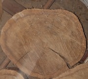 DUŻY PLASTER DREWNA 35-45cm gr 4-5,0 DĄB na stół