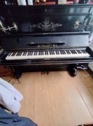 Pianino.Polecam .Pięknie gra wystarczy dostroić.