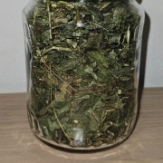 Niecierpek drobnokwiatowy suszony 25g 