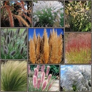 Zestaw 9 Traw ozdobnych - "2"