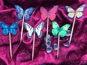 Piękne motylki do doniczki, oznaczenia plonów, prezent