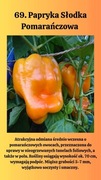 Nasiona Papryki Słodkiej 