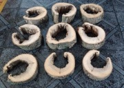 Małe plastry jesion. Z dziurą. Podkowy.