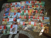 Encyklopedia odkrycia młodych Larousse Gallimard 5-109 46 numerów OKAZJA