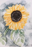 "Słonecznik" piękna akwarela