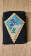Naszywka 27 brygady Górskiej - LEGIA CUDZOZIEMSKA