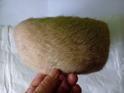 Czapka z nutrii reczna robota