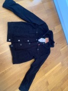 Katana Levis, r. 6 lat 