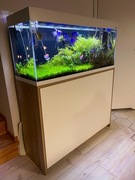 Akwarium OptiGlass 250L z szafką CO2 i pełnym osprzętem ryby rośliny