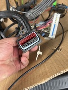 Wiązka silnika Chevrolet Corvette C5 