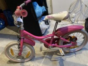 Rower Giant Puddin 16