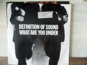 PŁYTA WINYLOWA  - DEFINITION OF SOUND 