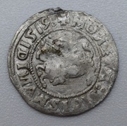 POLGROSZ LITEWSKI 1519 omylkowy "SIGISMUNID" "D" odwrocone, Rzadki!