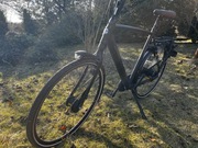 Rower gazelle c8
