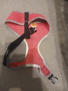 Kurteczka dla psa nowe rozmiar L.