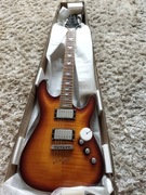 schecter diamond series c-1+