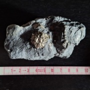 Piryt konkrecja pirytowa z Gór Kaczawskich