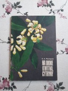 S. A. Pieniążek - Na oknie kwitną cytryny 1938