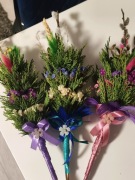 Palmy wielkanocne naturalne 